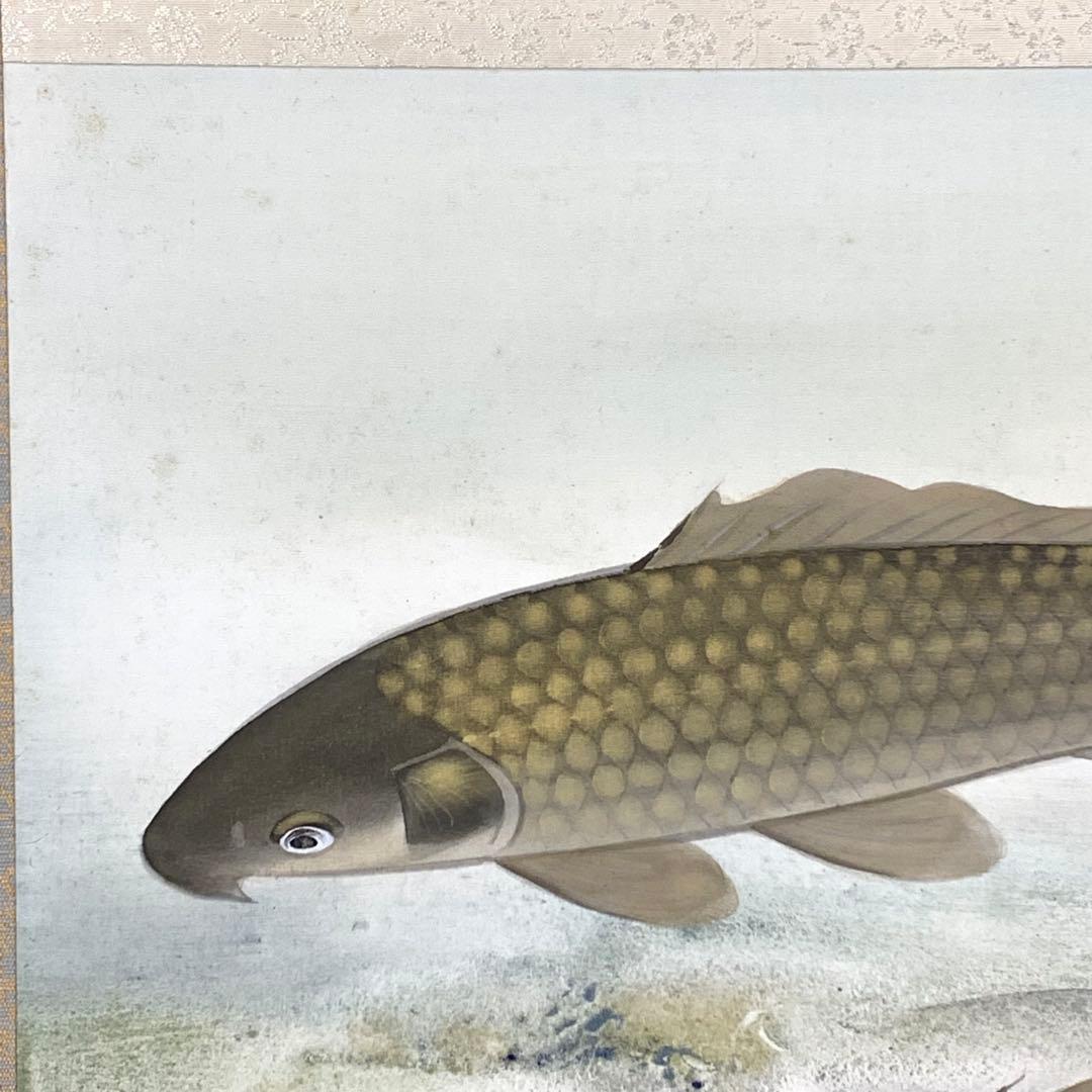 掛軸 鯉 薫 共箱 二重箱仕立 縁起