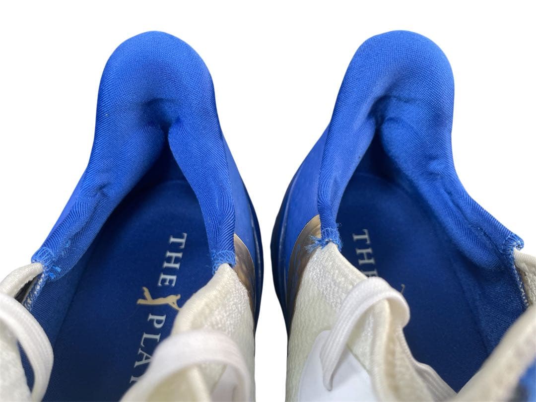 激レア！NIKE Air Zoom ツアーNRG THE PLAYERS 限定版