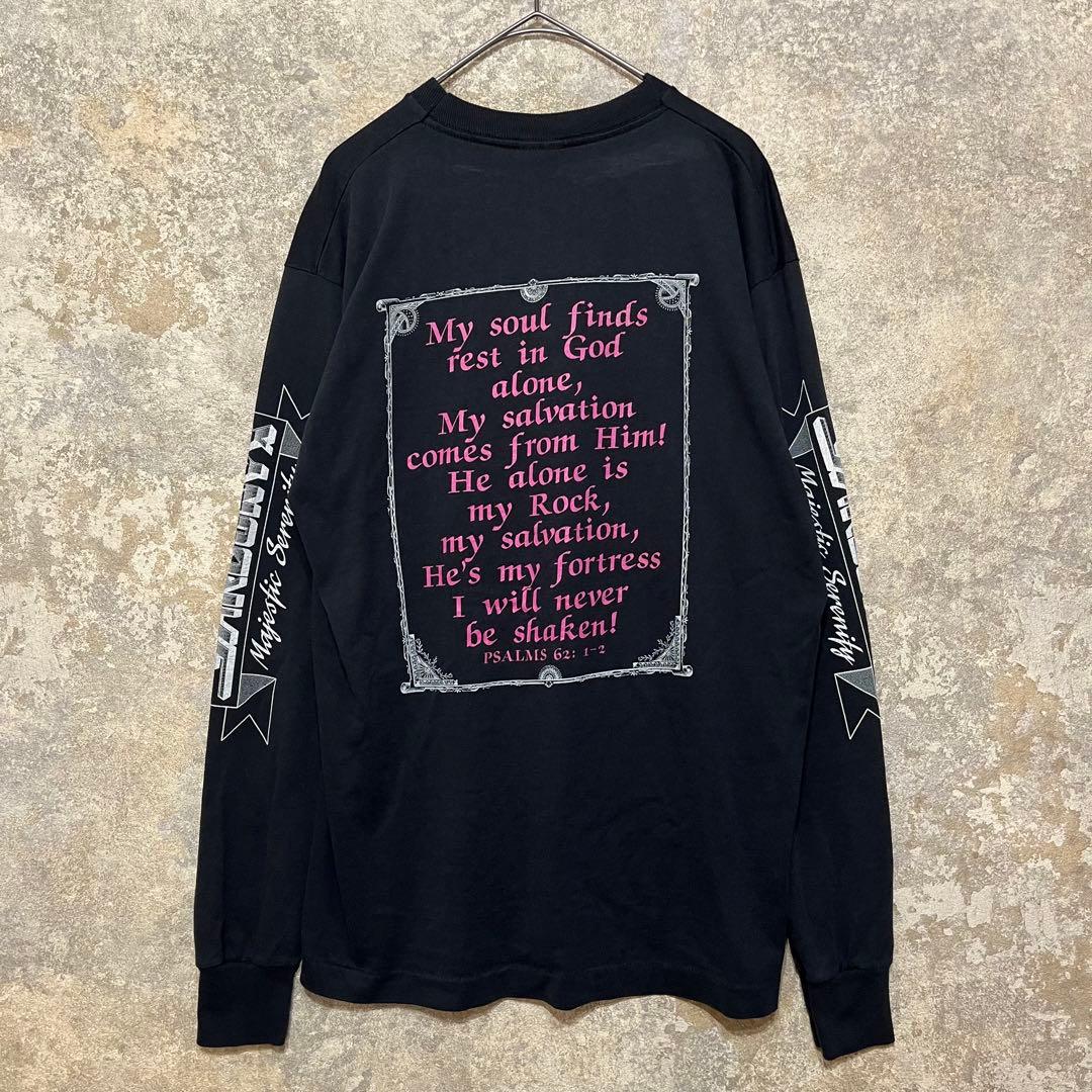 USA製 SCREEN STARS Sardonyx 長袖Tシャツ ロンT