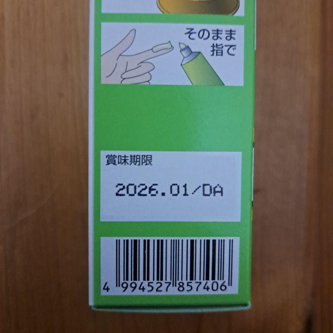 アースペット　チョイスプラス　スタミノン　関節ケア　(40g)　11箱