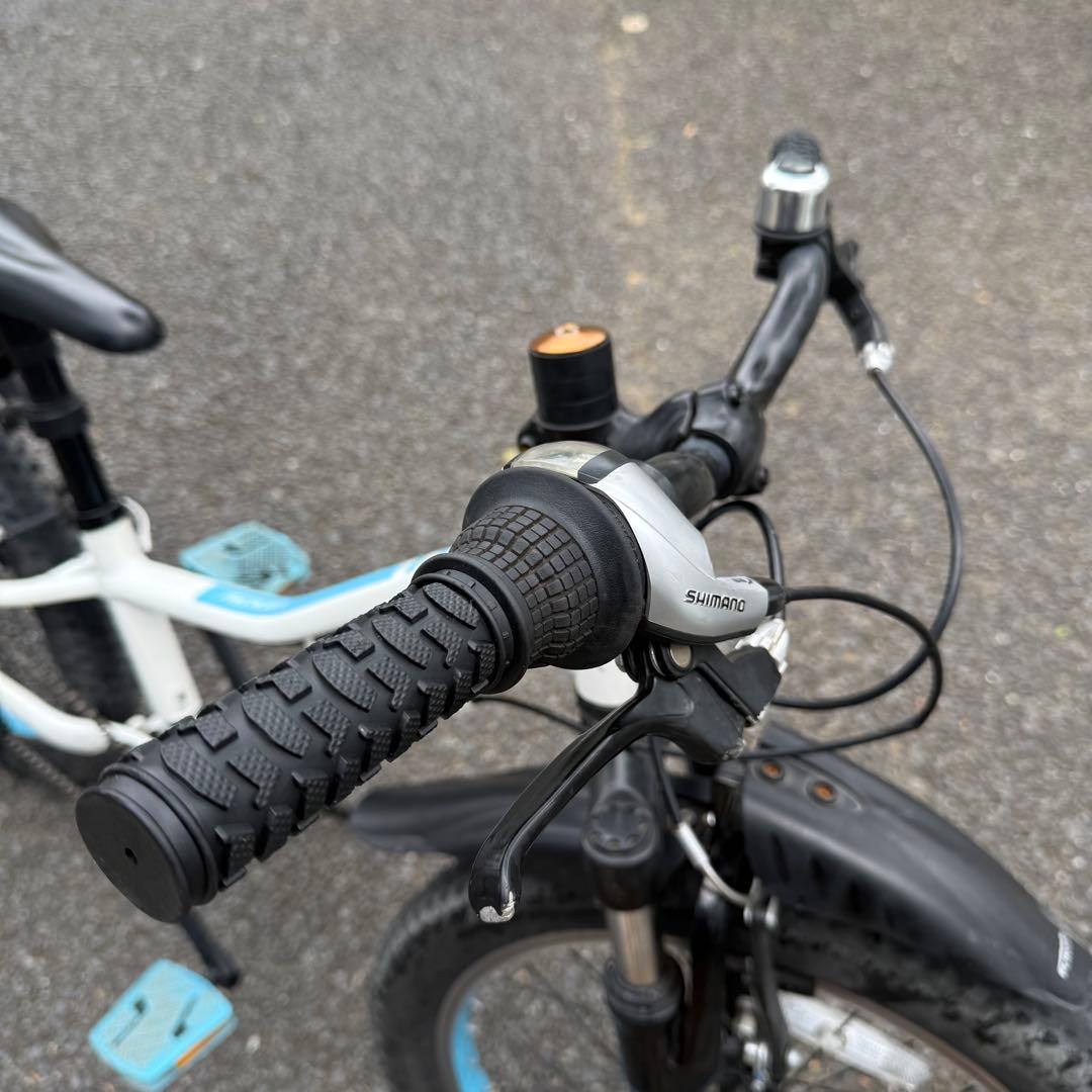 子供用自転車 20インチ Precaliber身長114-132cm 泥除け付き