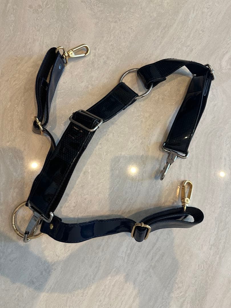 WAACワックキャディーバック