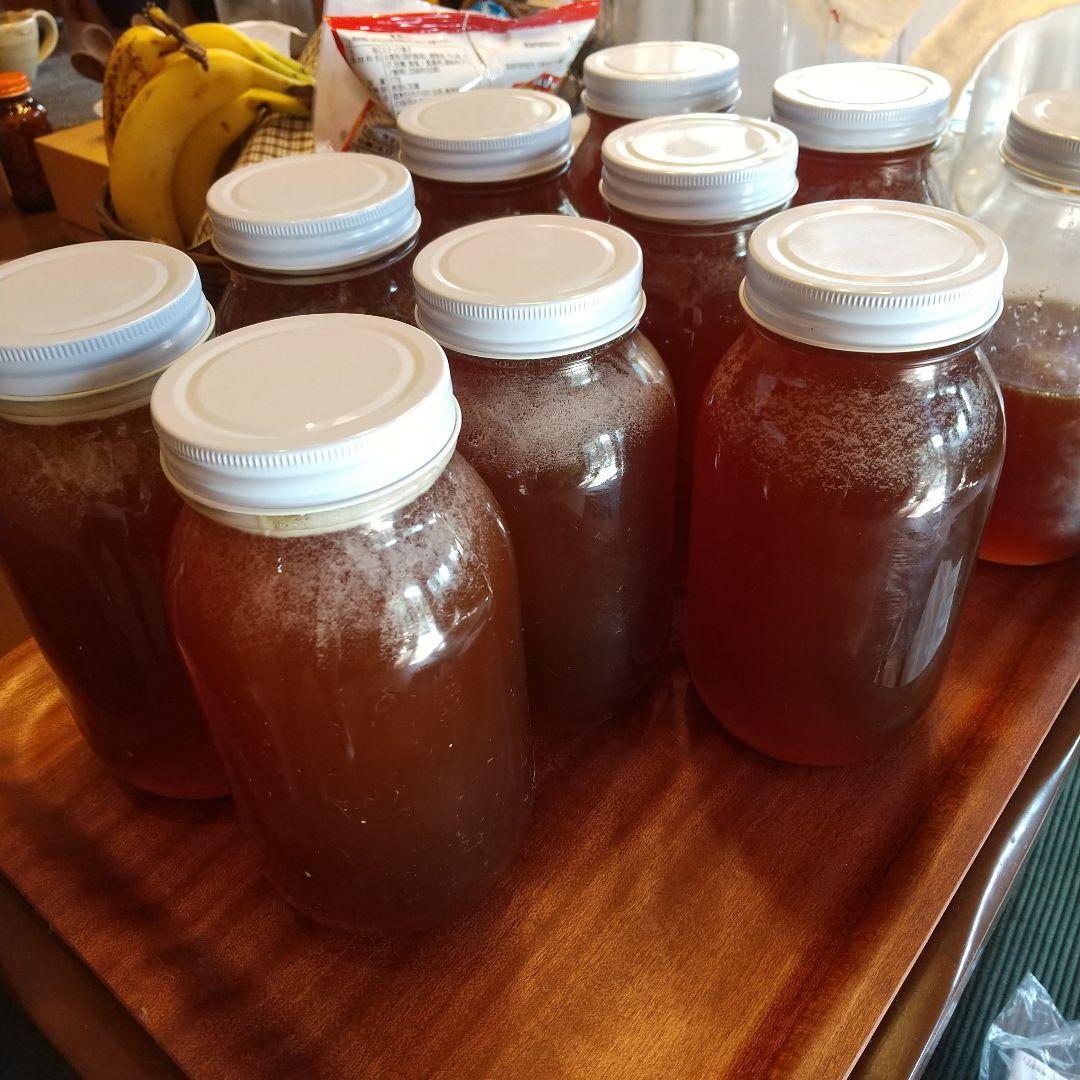 日本蜜蜂 ハチミツ 1160g 八ヶ岳西麓標高1250m