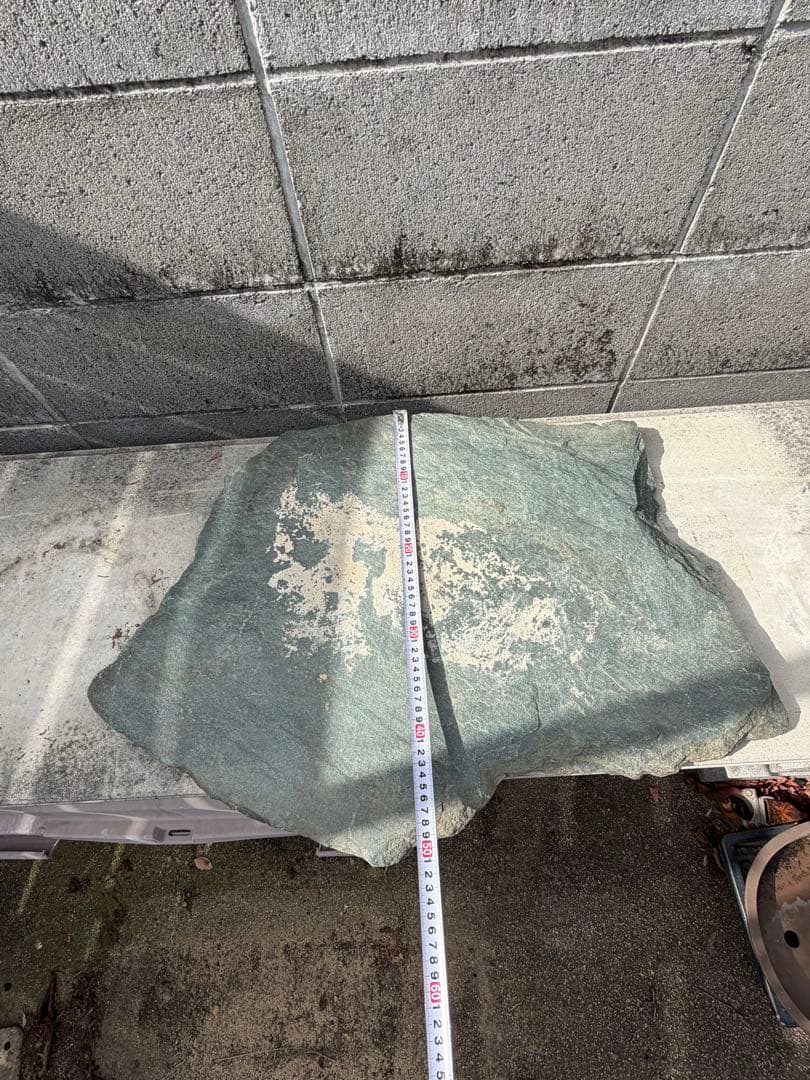 伊予石　青石　四国　平石　大型　鑑賞石　自然石　付け石　鞍馬　龍眼　竜岩　盆栽