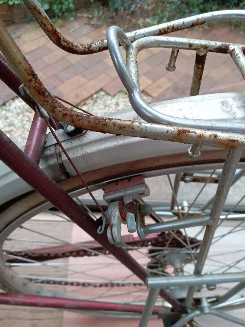 片倉シルクランドナー