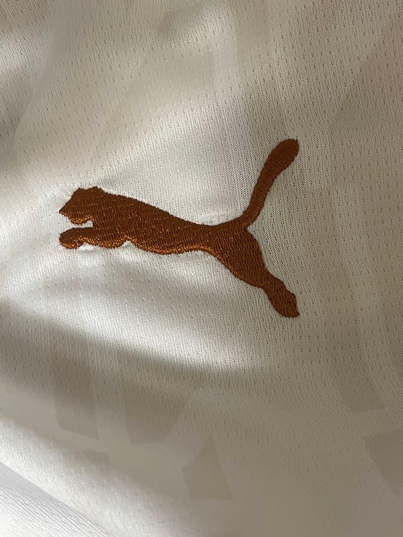 マンチェスター・シティ Lサイズ