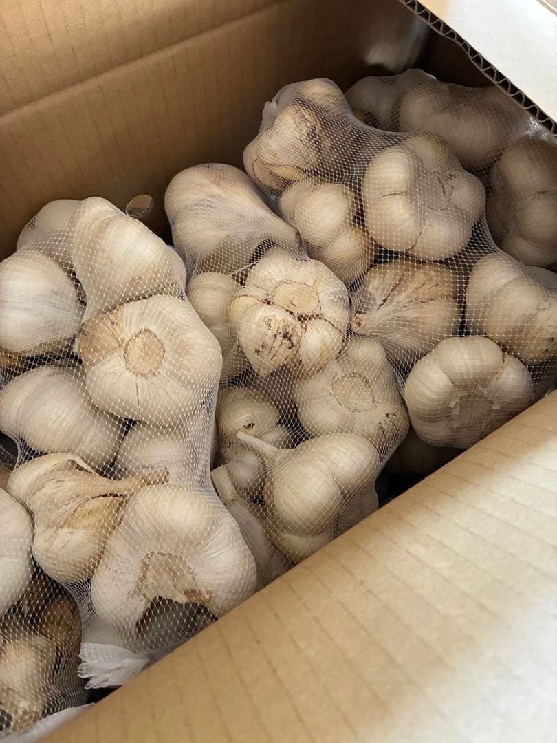 新物　青森県にんにく5キロL 早い者勝ち