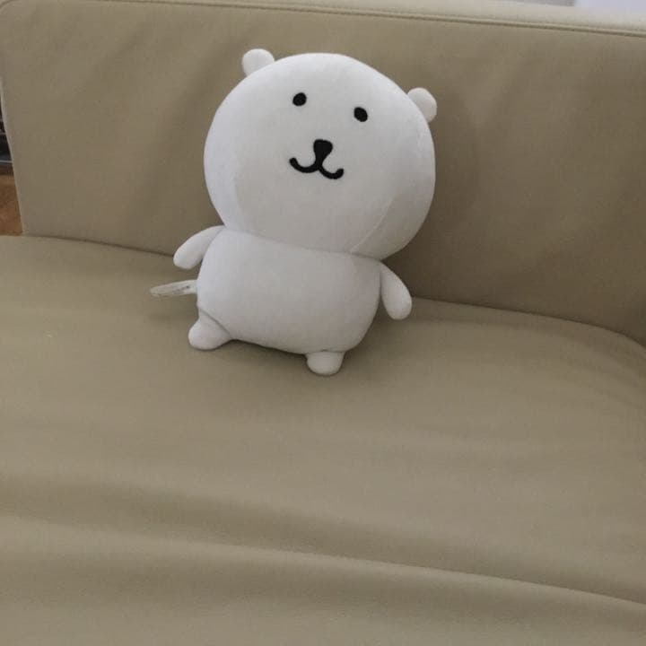 くまぬいぐるみ