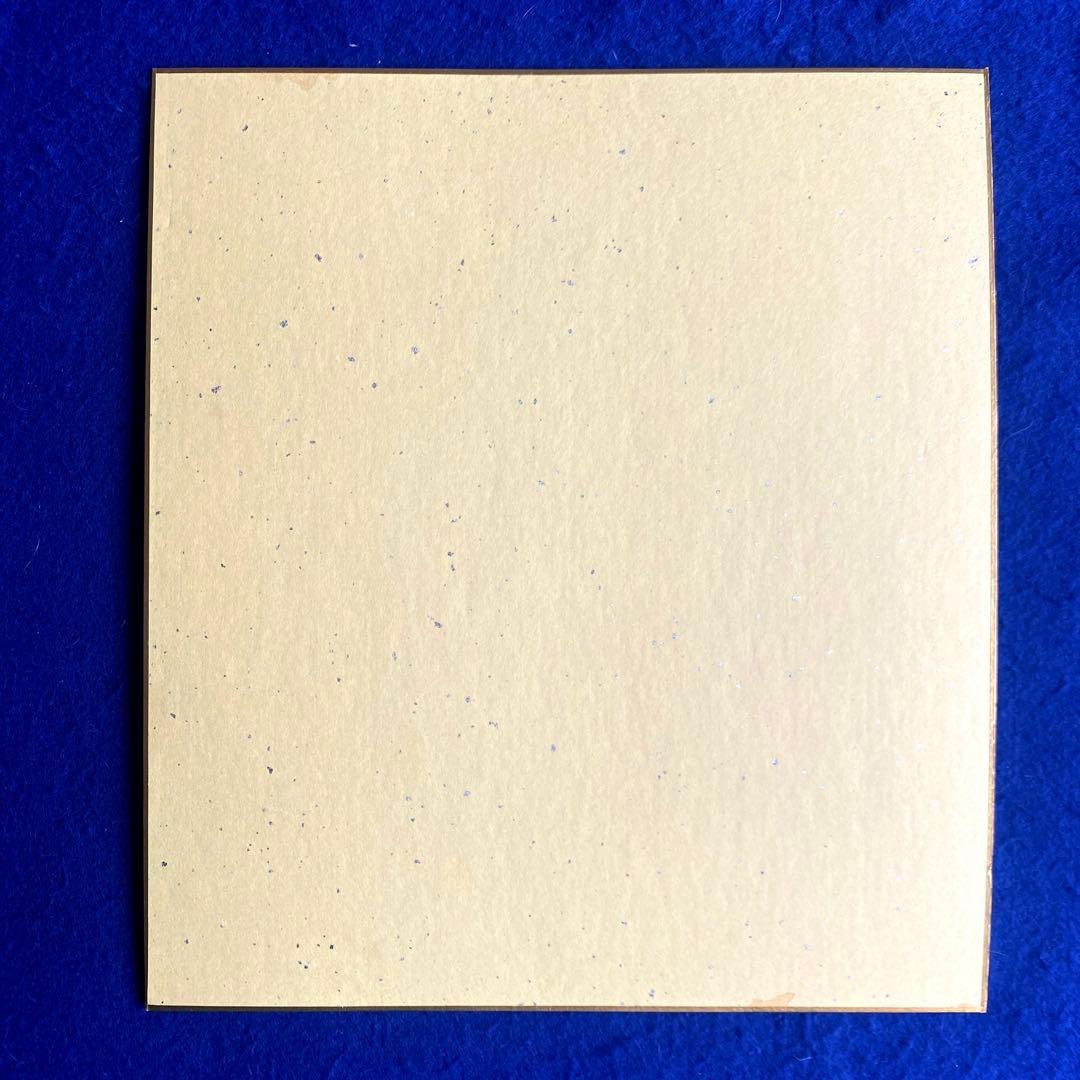 歌手／女優　のりピー　酒井法子　直筆サイン　色紙