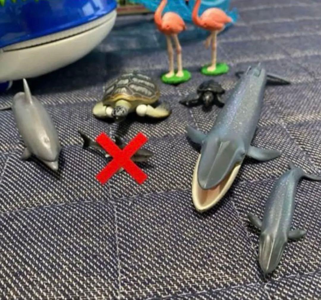 【クジラアイランド】【アニア】【廃盤品】【まとめ売り】追加あり