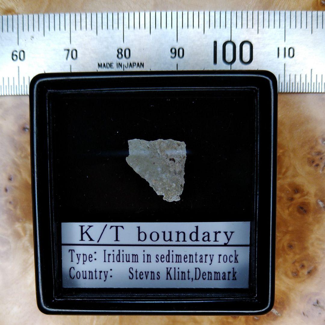 入手不可！小惑星のかけら Ｋ-Ｔ境界層（K/Pg境界）　標本