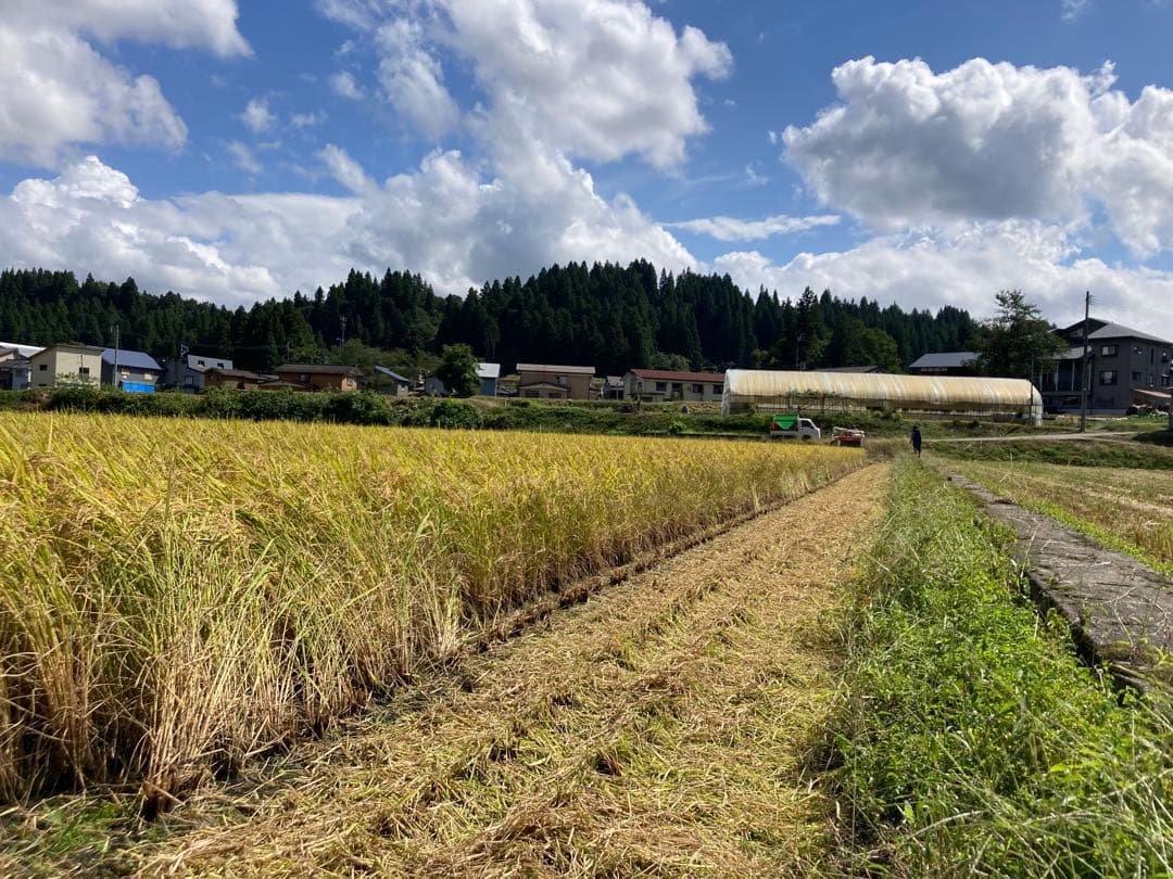 7年産魚沼コシヒカリ　玄米30kg