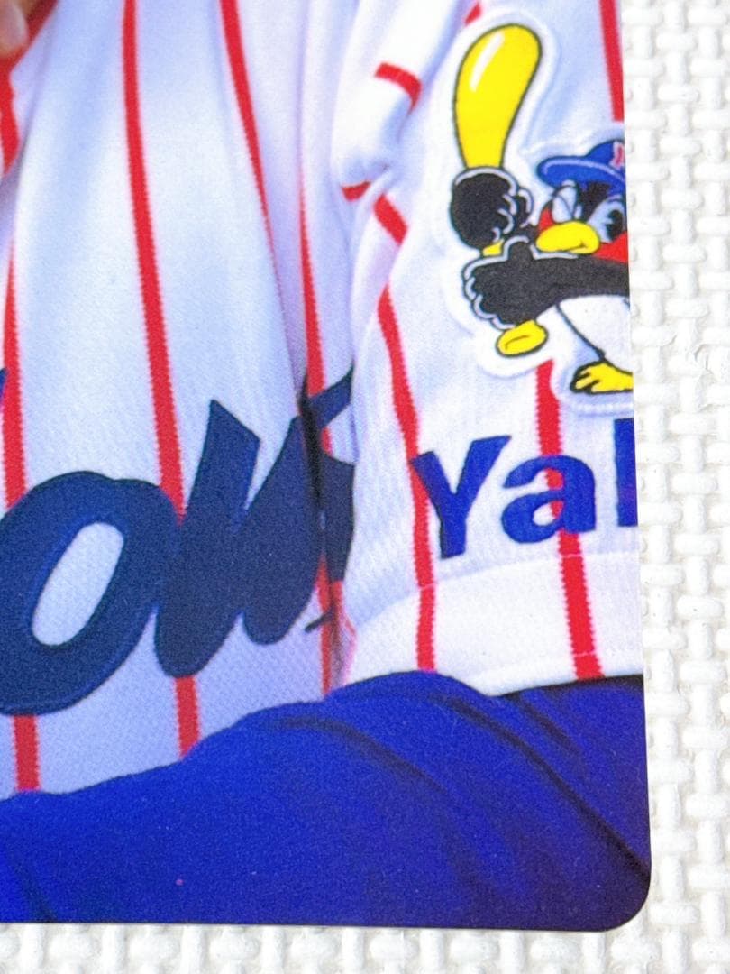 ★ヤクルト 73 野村克也 1998年 勇退記念 サイン入り下敷き 非売品 最終