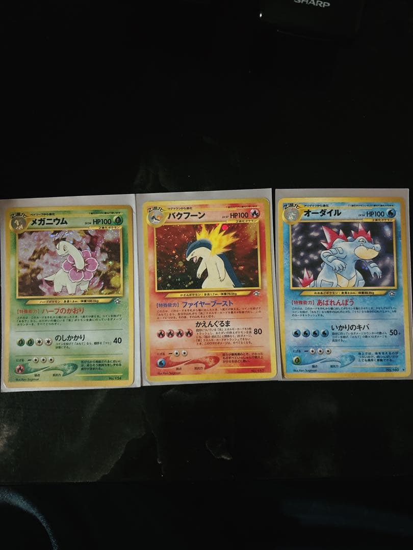 バクフーン　ベイリーフ　オーダイルプレミアムファイル 金銀新世界へ