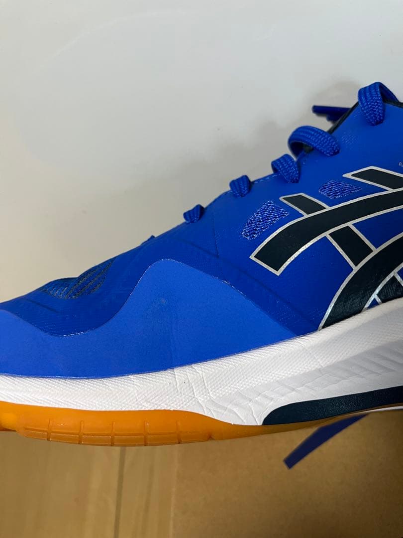 ROTE JAPAN LYTE FF 3 バレーボールシューズ28.5cm