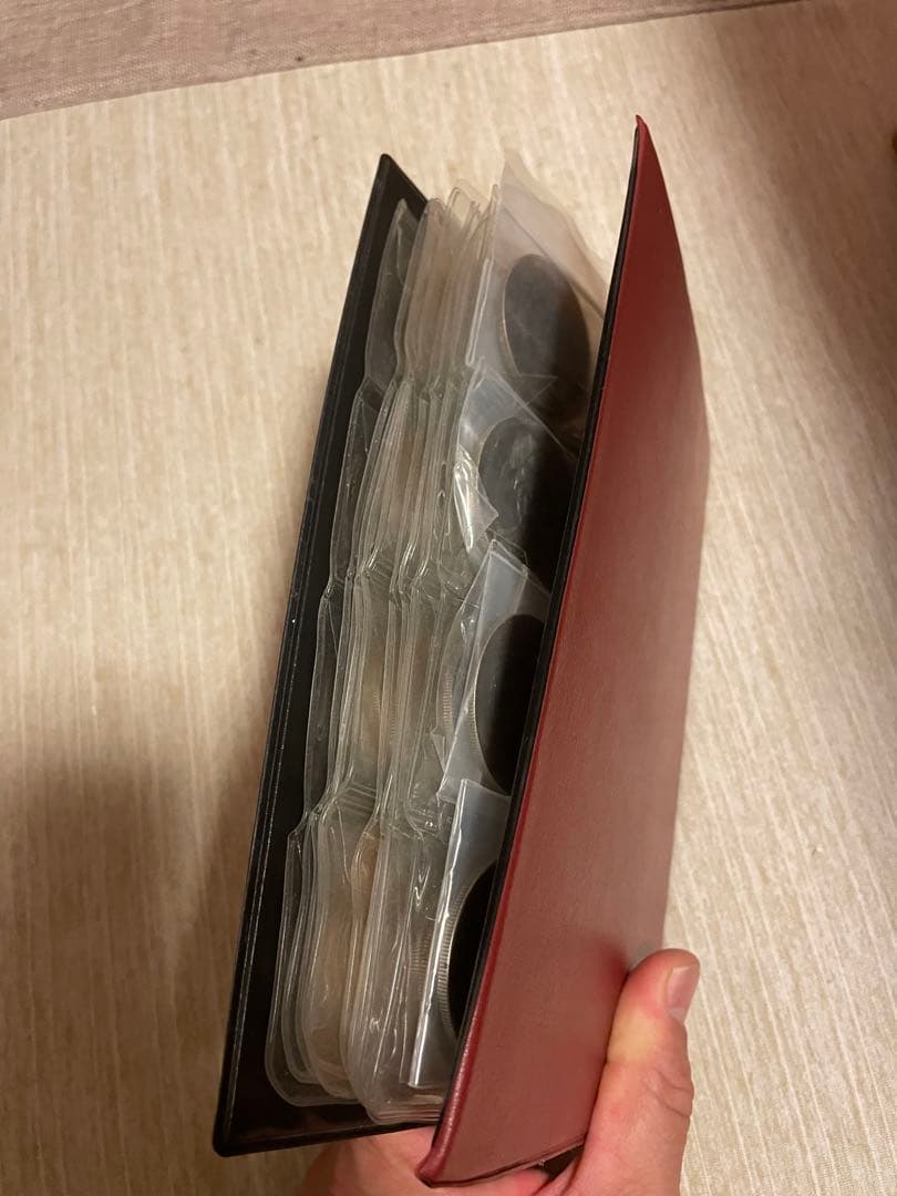 中國銀元鑑賞用 80枚セット