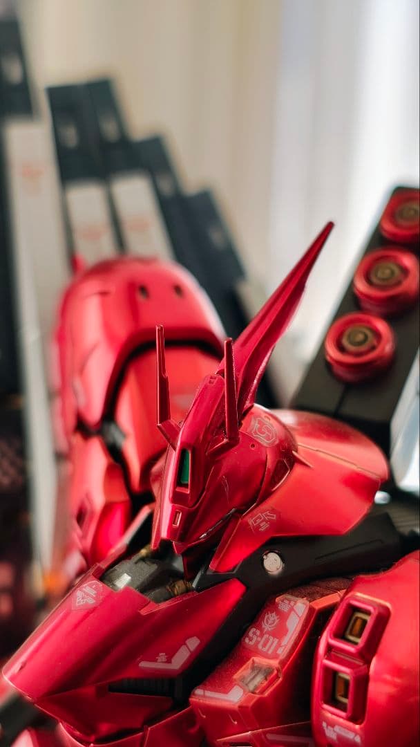 RG ガンプラ 2体セット