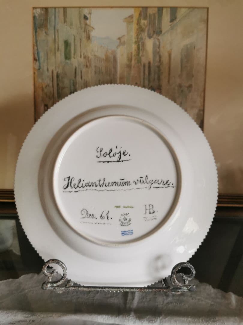 ロイヤルコペンハーゲン至宝φ25フローラダニカ 岩薔薇ヘリアンテム・ヌンムラリム