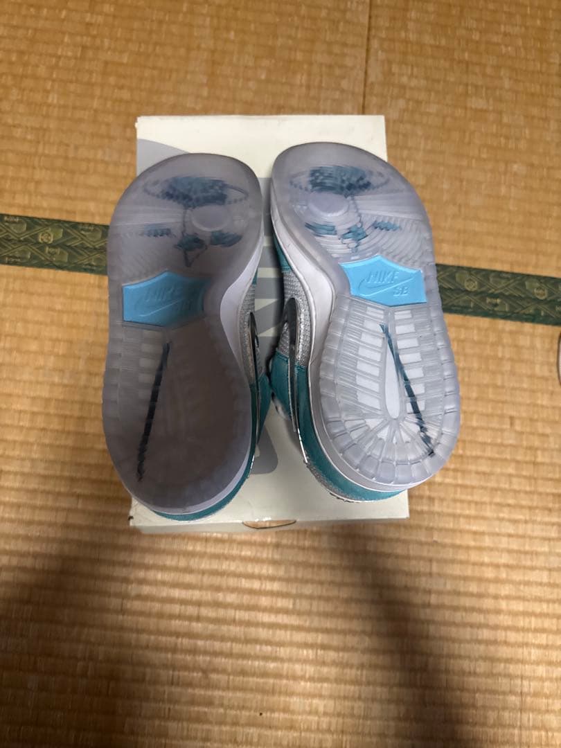 APRIL SKATEBOARDS × Nike SB Dunk Low Pro