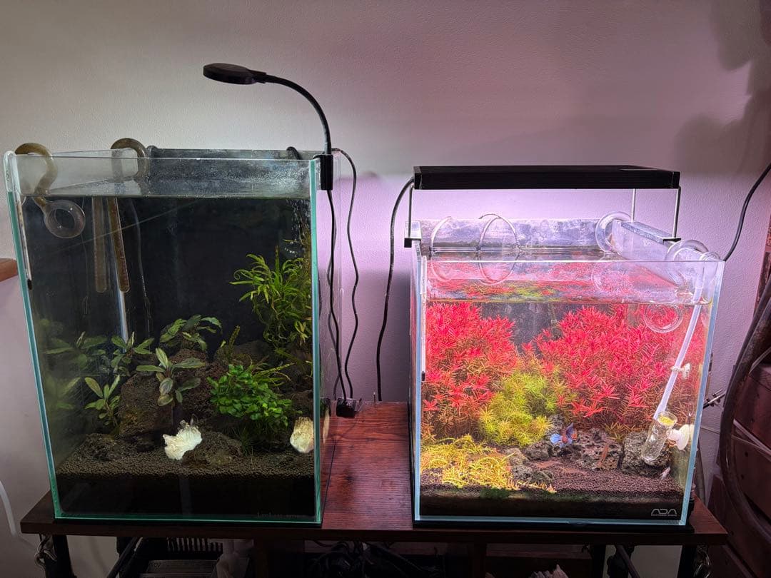 30センチ水槽セット　ADA