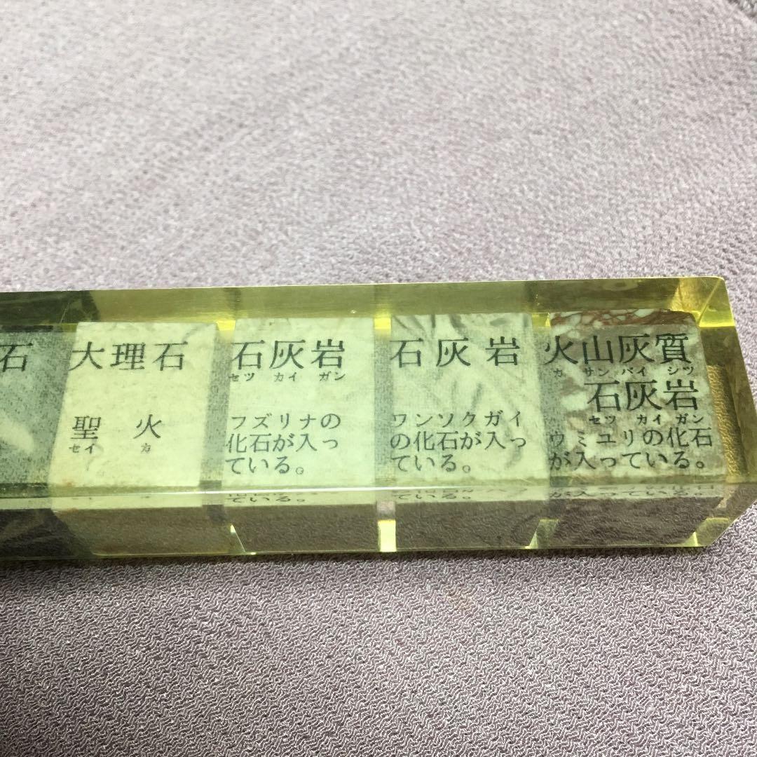 0228　大理石 パワーストーン 化石 文鎮