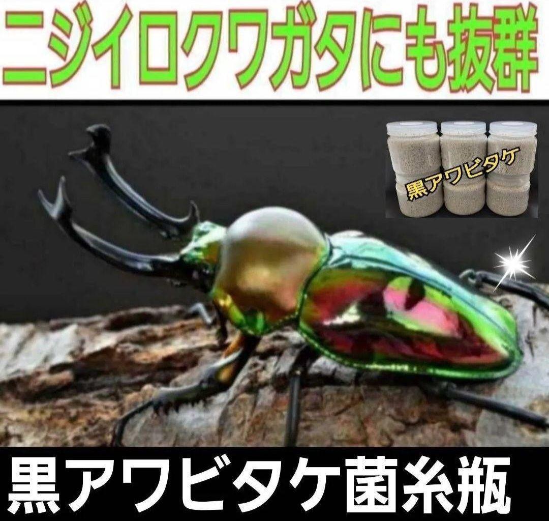 ９本セット！ニジイロクワガタに抜群！黒アワビタケ菌糸瓶　トレハロース、キトサン入