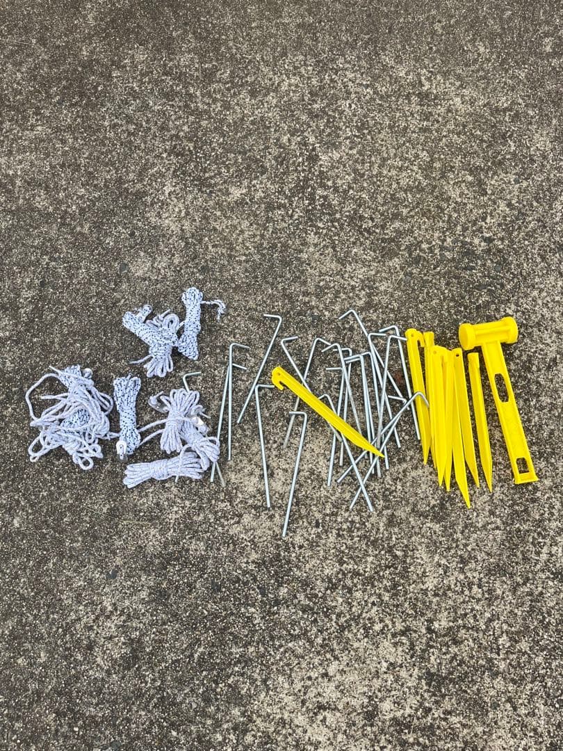 【美品】限定カラー コールマン ラウンドスクリーン2ルームハウス バーガンディ