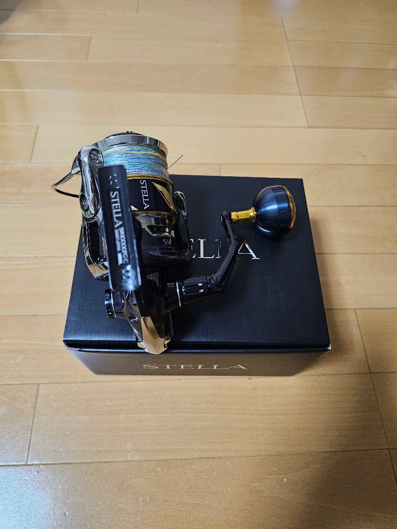 ステラSW 10000PG　(2019)