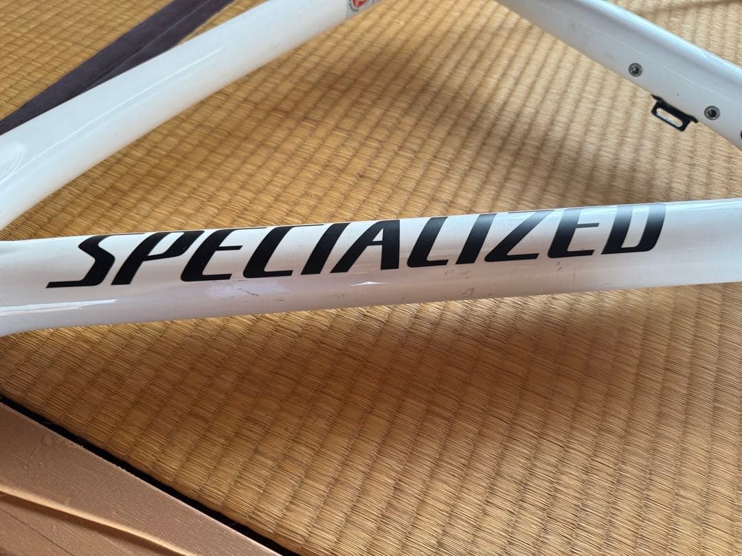 スペシャライズド　2019ターマック　メン　コンプ　フレーム49
