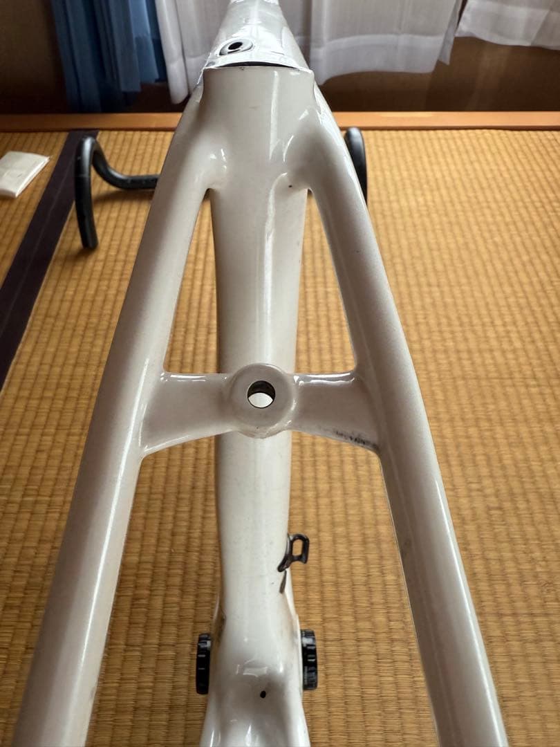 スペシャライズド　2019ターマック　メン　コンプ　フレーム49