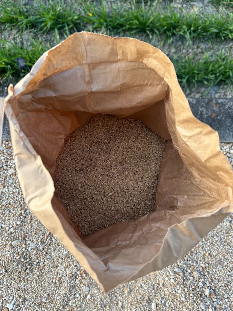 令和7年度　今治産ひめの凛 10kg　玄米