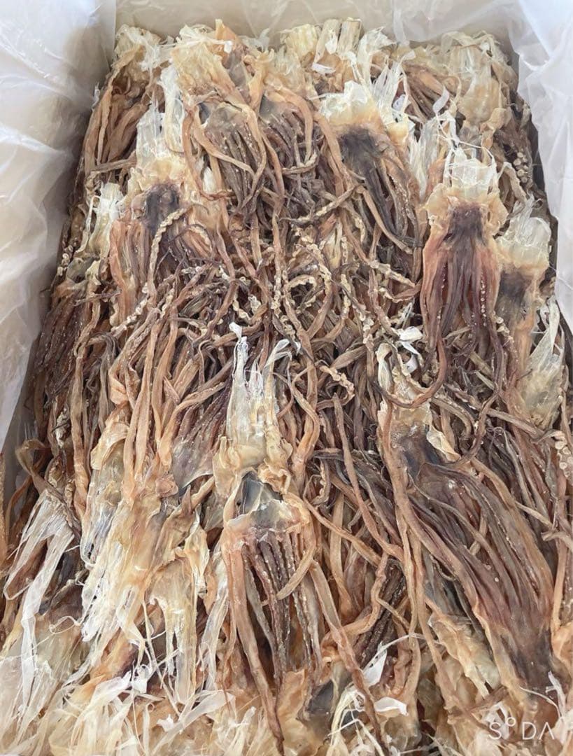 『大人気！』真いかするめ足【10kg】