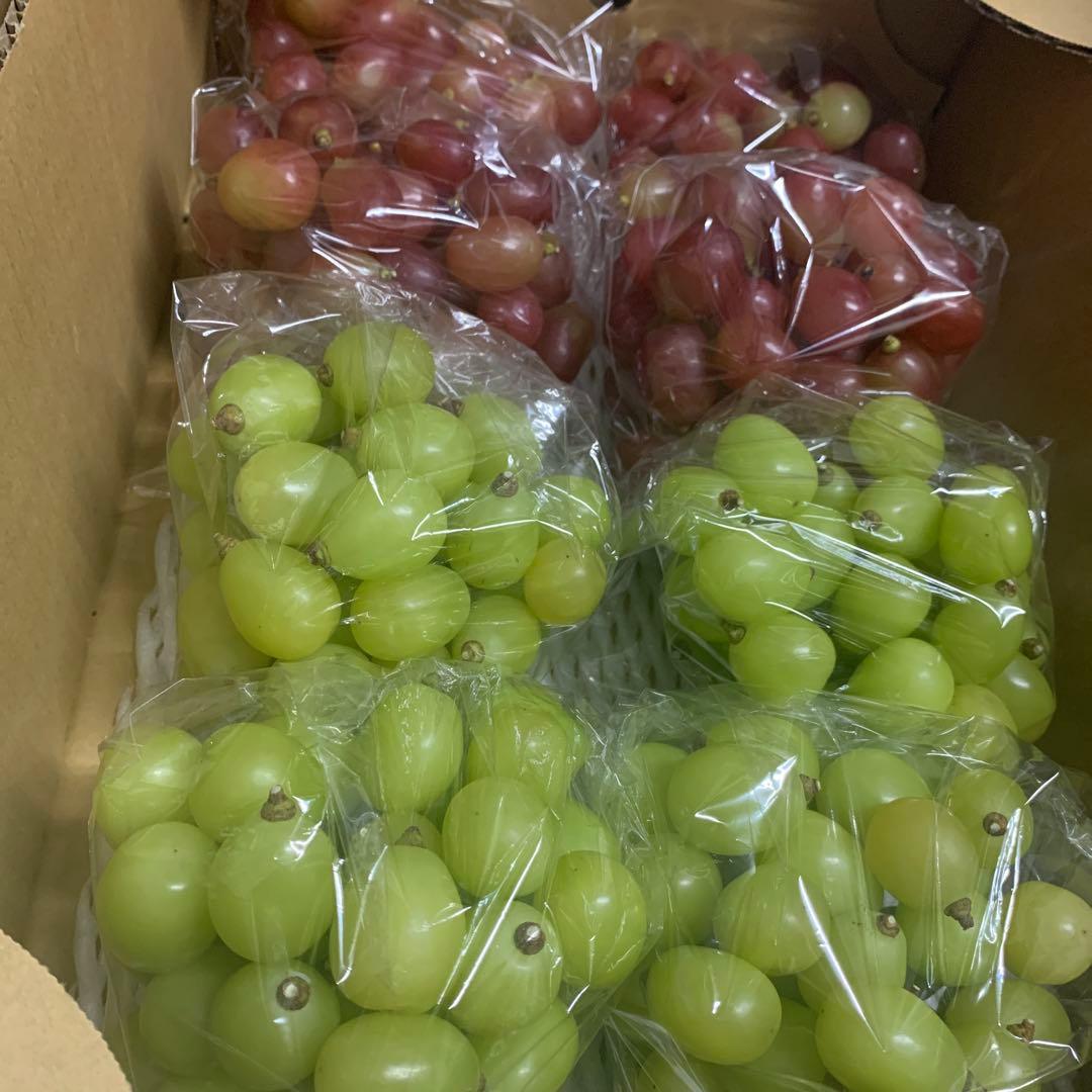 信州　黄色シャインマスカット＆クイーンルージュ®︎（粒）