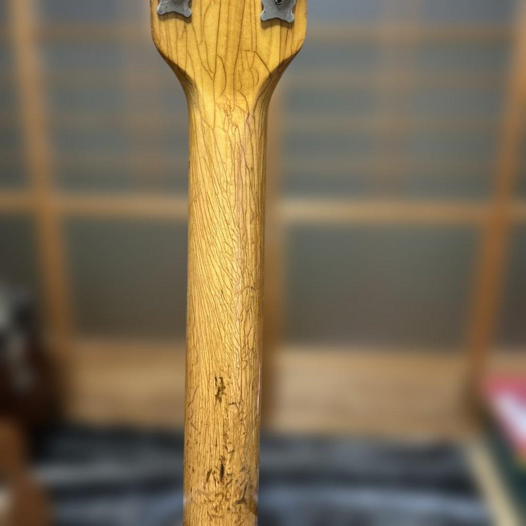 TEISCOセミホロウボディ 3ピックアップフルアコギター