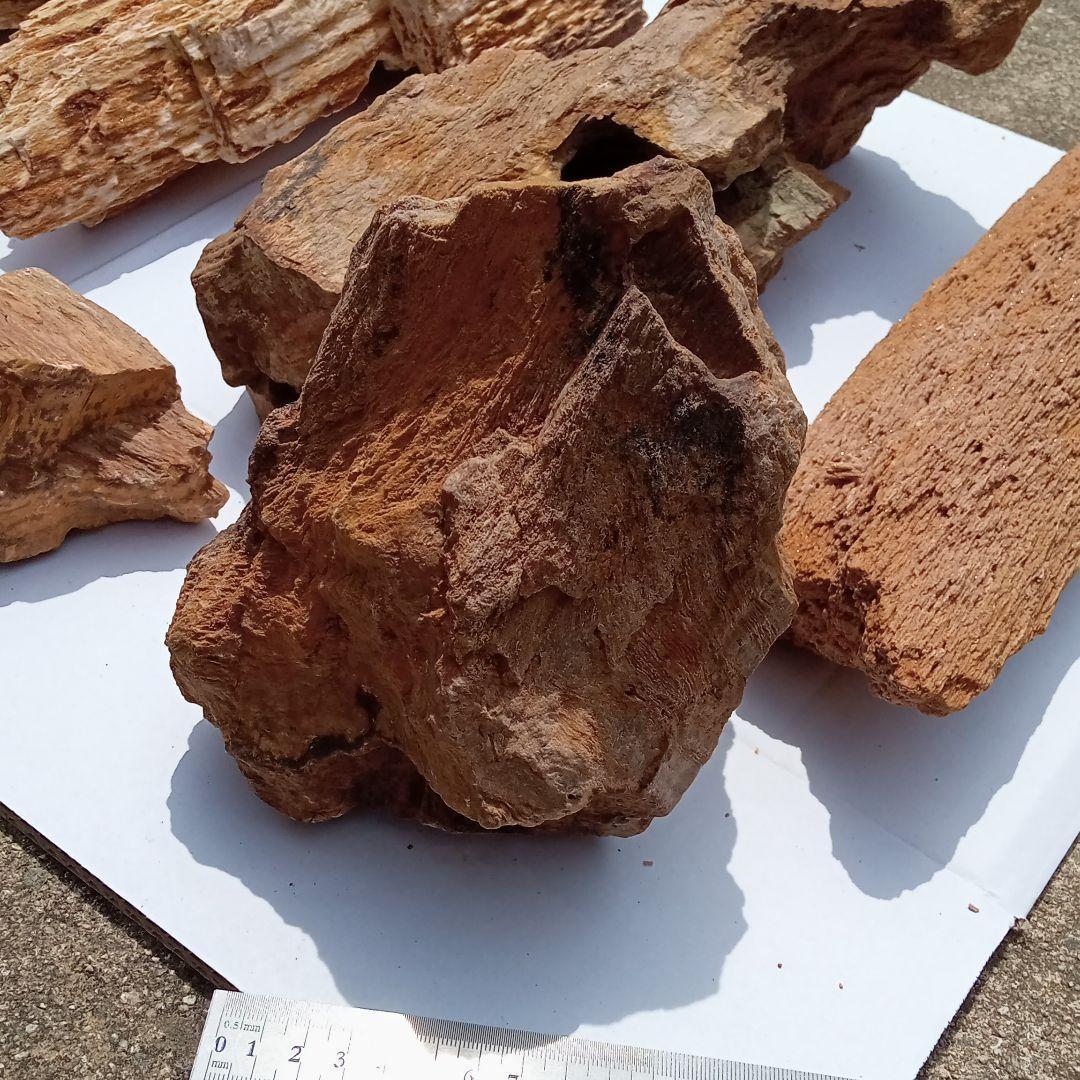 木化石01　約18ｋｇ　アクアリウム 　水槽　レイアウト　石