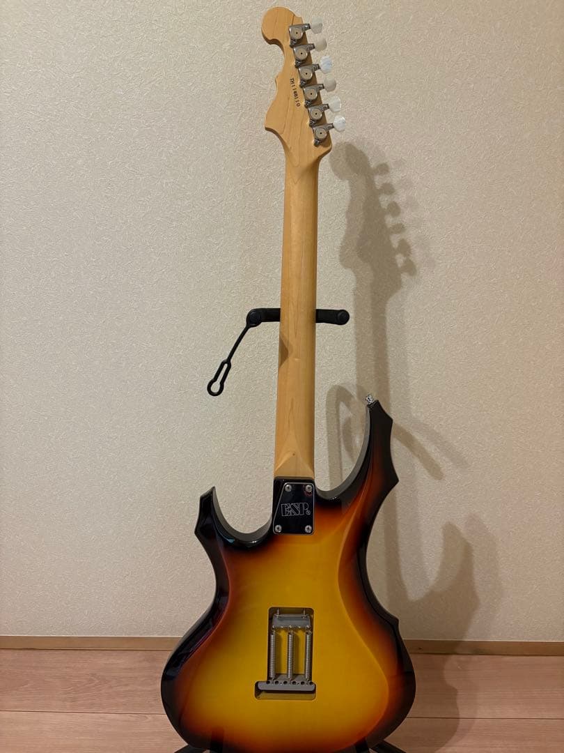 ESP FOREST-G オーダーメイド