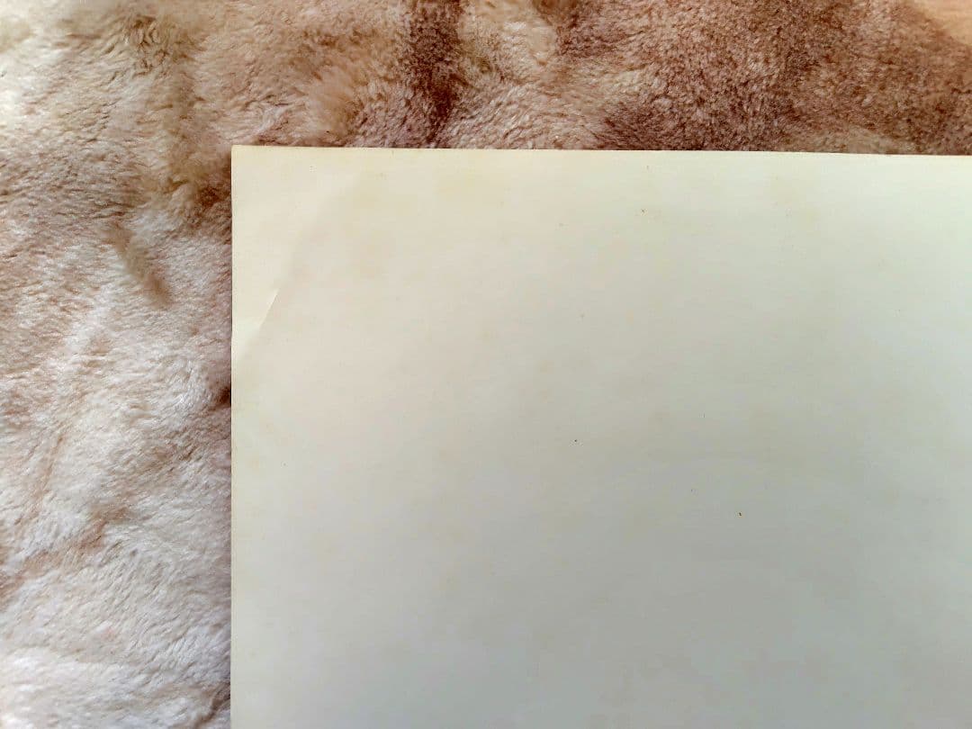 米津玄師 diorama 特典 ブックカバー