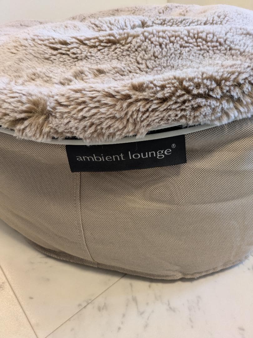 コーギー太郎ambient lounge ペット　アンビエントラウンジ