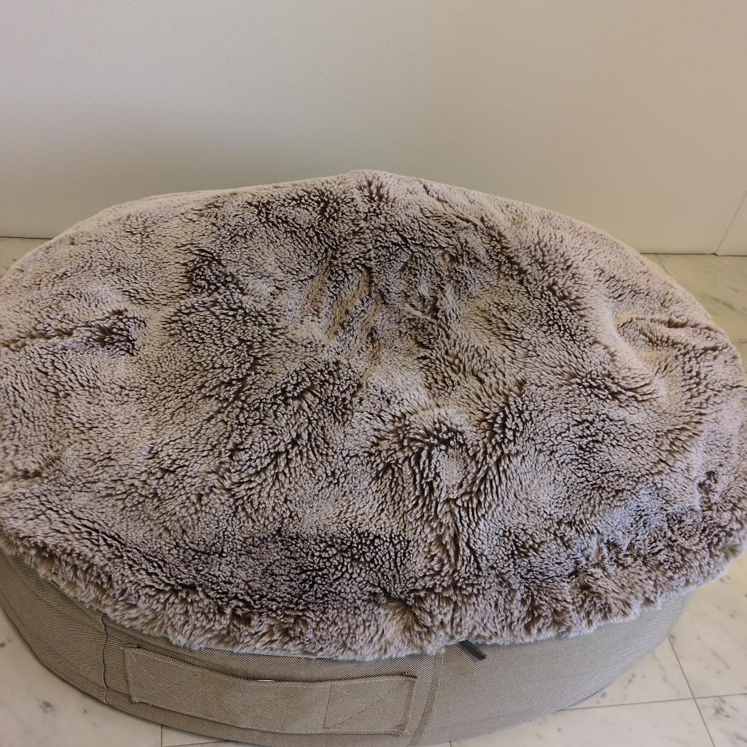 コーギー太郎ambient lounge ペット　アンビエントラウンジ