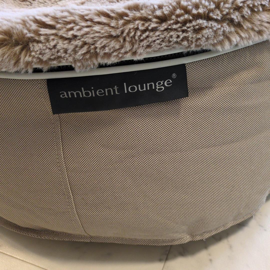 コーギー太郎ambient lounge ペット　アンビエントラウンジ
