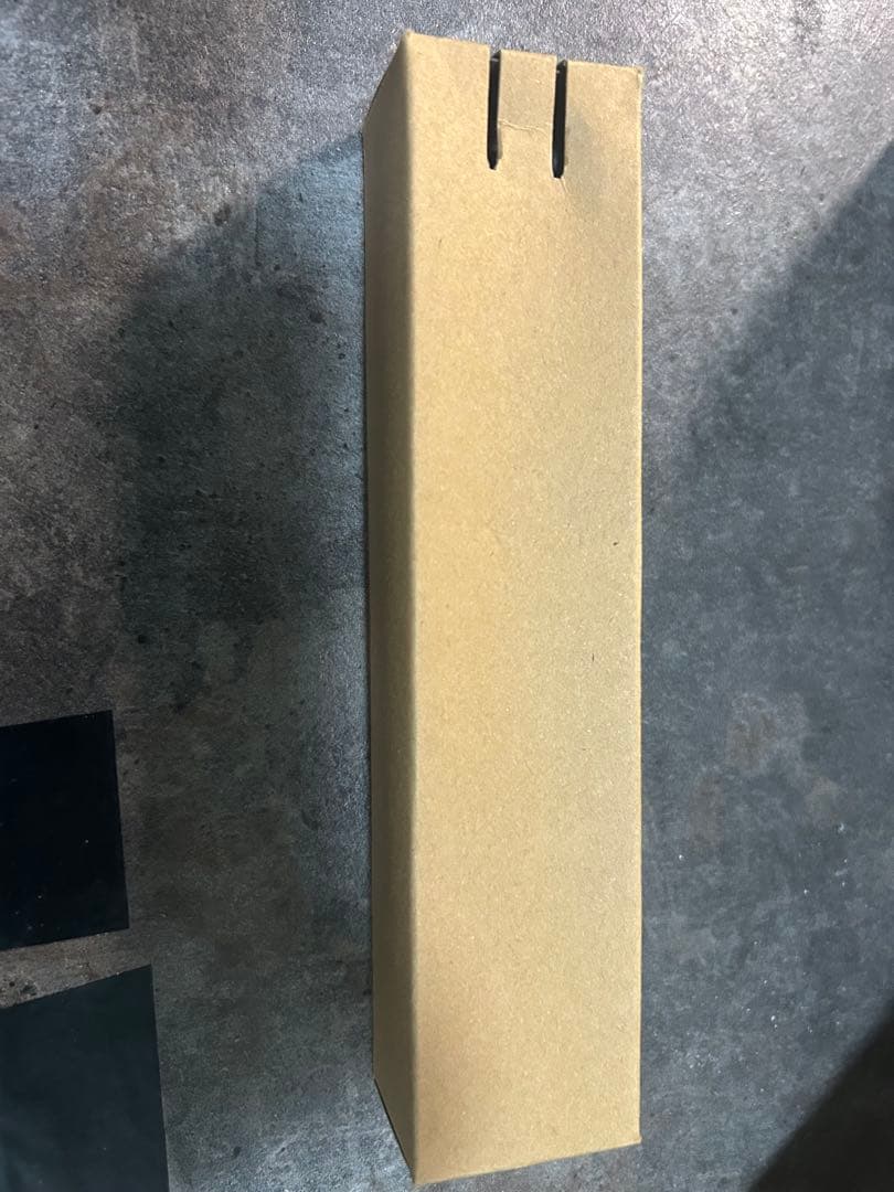 ギター CUSTOM AUDIO JAPAN DC/DC Station II