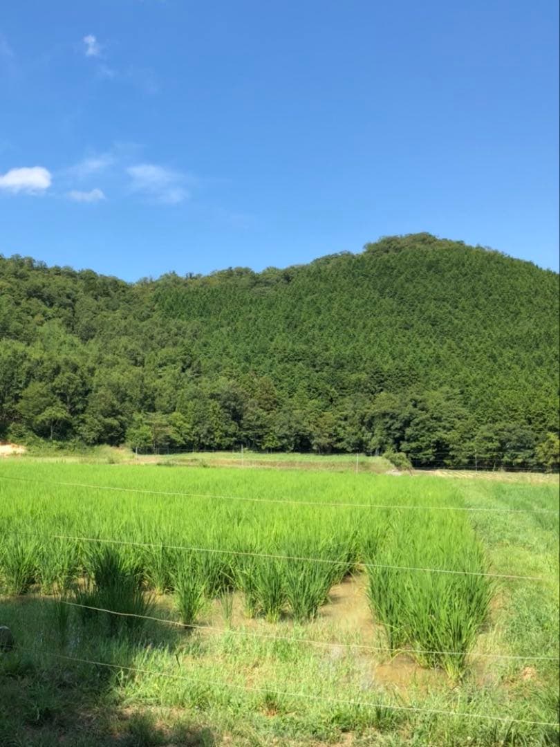 Natural farming自然栽培玄 モンテッソーリー教育 腸脳相関 安保徹