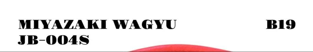 希少品！ MIYAZAKI WAGYU JB-004S グローブ グラブ レッド