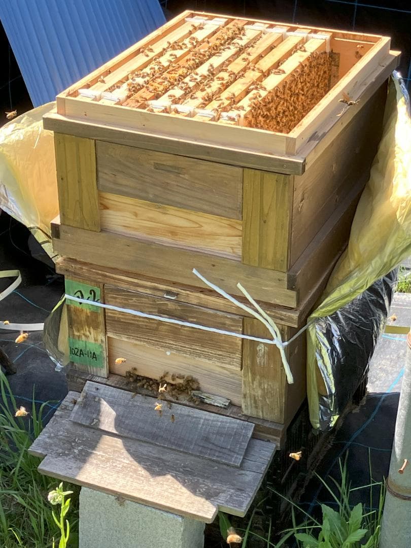 【R7/R6 各1本】百花蜜 1000g 長野県産 国産蜂蜜 生はちみつ