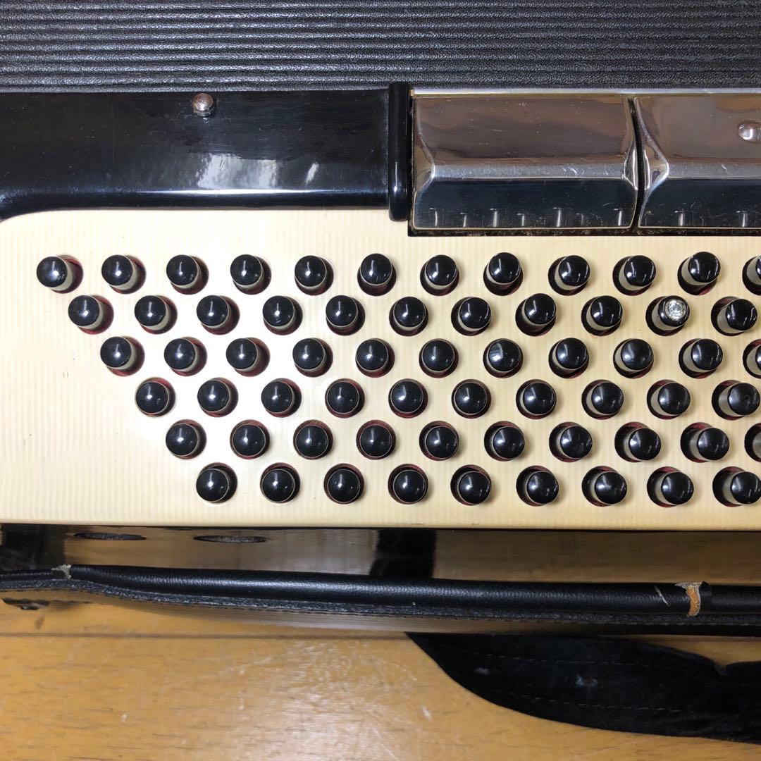 EXCELSIOR アコーディオン Professionalモデル ケース付