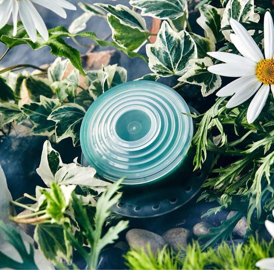 ✨ VITAフィルターシャワーヘッド専用(ブルーハーブティー)