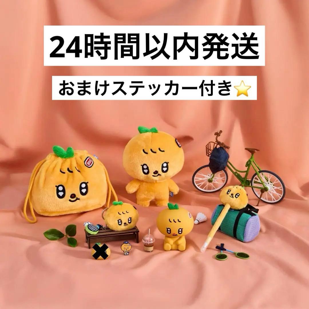 seventeen ミニティーン　プギュリ　スングァン　セット　2025