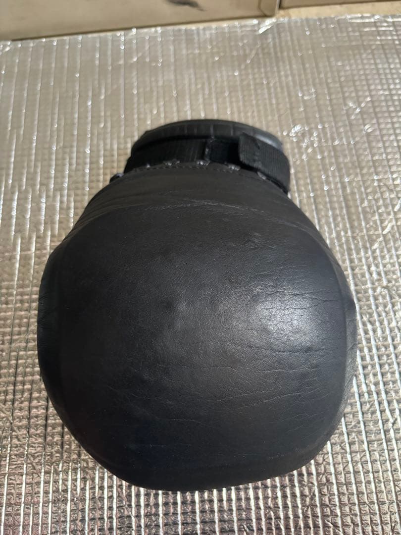 日本拳法　徳大グローブ