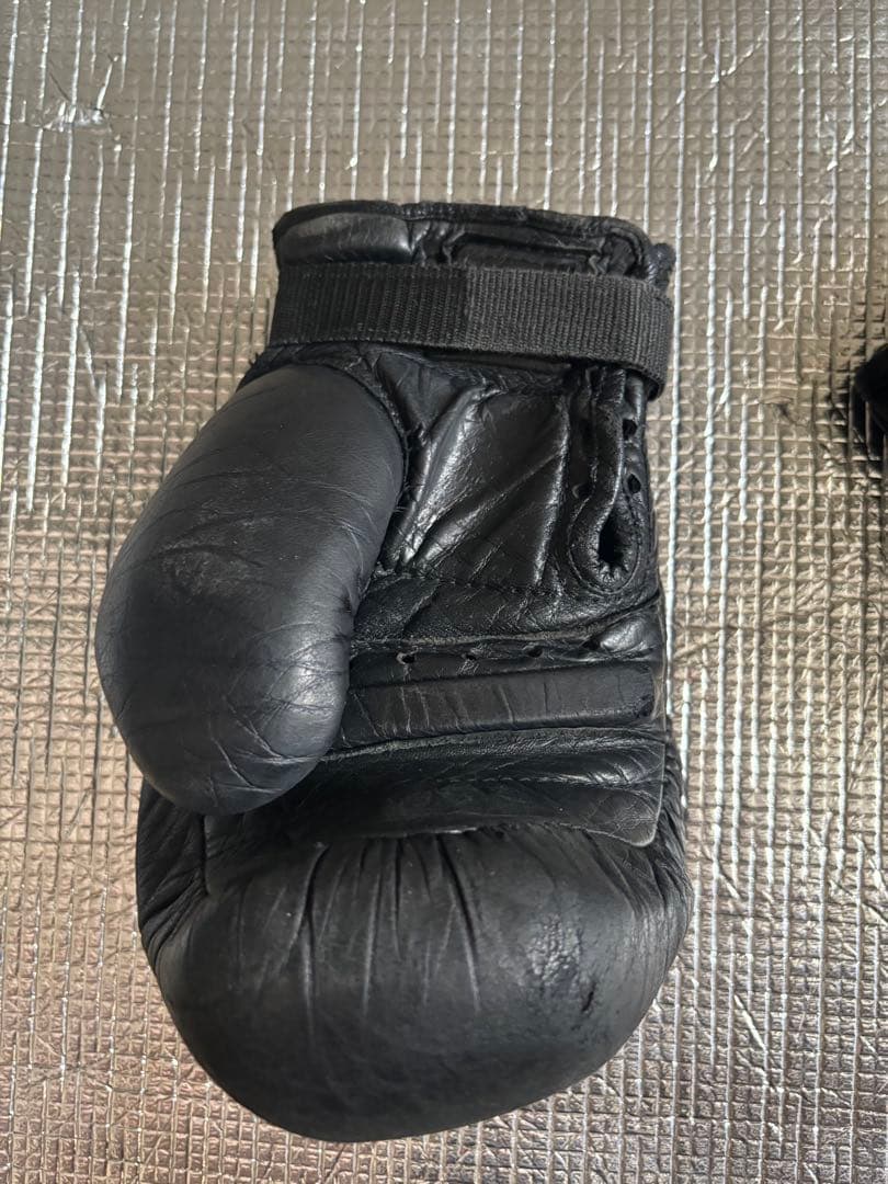 日本拳法　徳大グローブ