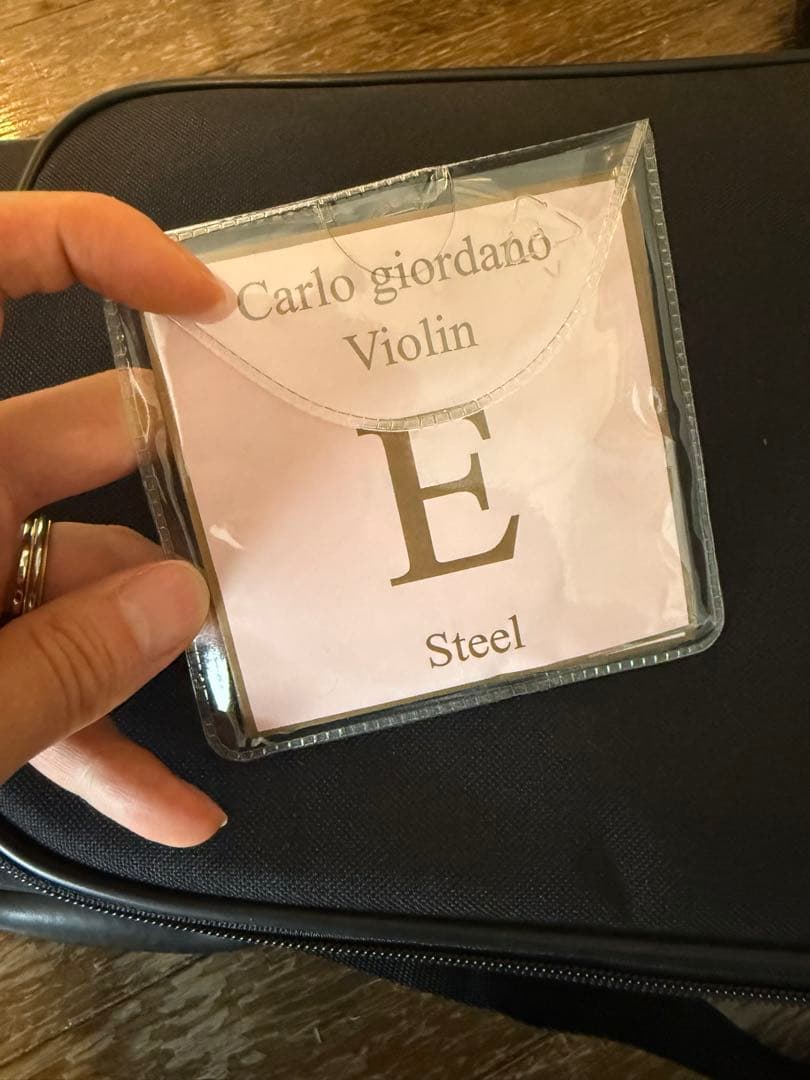 CARLO GIORDANO VS-2 4/4サイズ　バイオリン